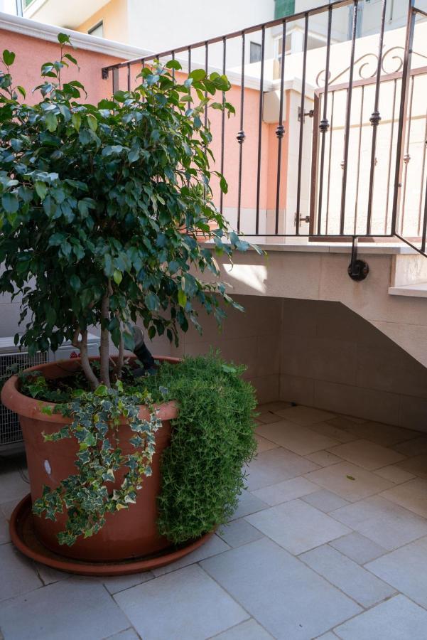 פולינאנו א מארה La Casetta Di Chiara B&B מראה חיצוני תמונה